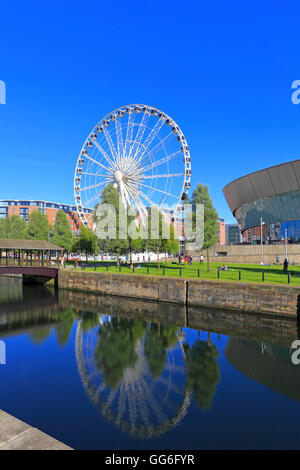 Herzöge Dock und das Rad von Liverpool, Kiel Wharf, Liverpool, Merseyside, England, UK. Stockfoto