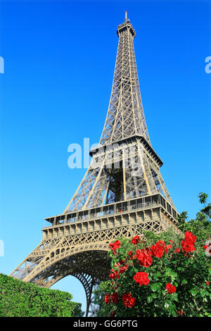 Eiffelturm in Paris Stockfoto