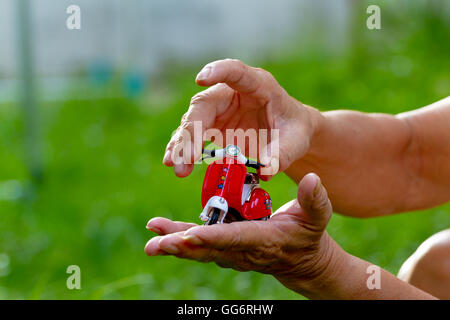 Mini Motorrad in der hand Stockfoto