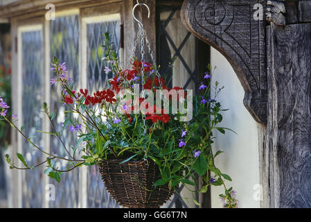 Blumenkorb hängen. Altstadt. Hastings. East Sussex. England. UK Stockfoto