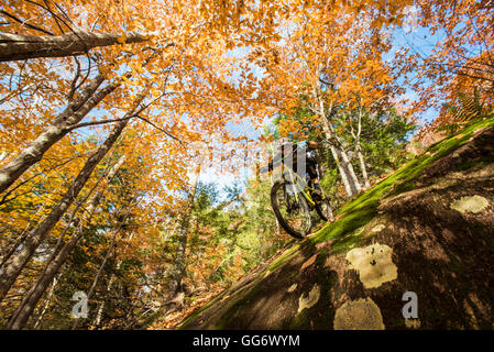 Herbstliche Mountainbike-Touren in den WHite Mountains in New Hampshire. Stockfoto