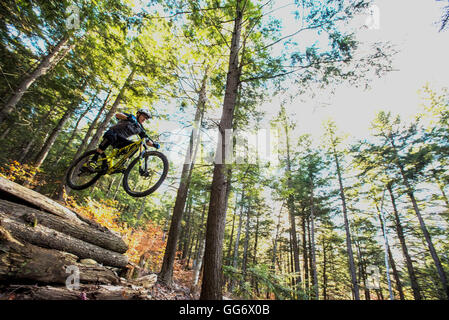 Herbstliche Mountainbike-Touren in den WHite Mountains in New Hampshire. Stockfoto