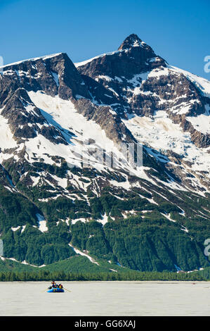 Sparren auf dem Alsek River Stockfoto