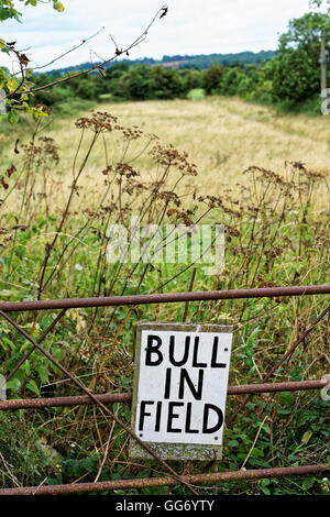 Warnzeichen für Stier IN FIELD Stockfoto