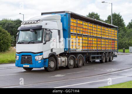 Nicht gekennzeichneter LKW, der lebende Hühner, gestapelte Käfige und Vögel auf dem Transit transportiert. Viehtransport in Preston, Lancashire, Großbritannien Stockfoto