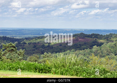 Die natürliche Schönheit des Teufels Punchbowl an Hindhead in Surrey Stockfoto