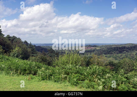 Die natürliche Schönheit des Teufels Punchbowl an Hindhead in Surrey Stockfoto