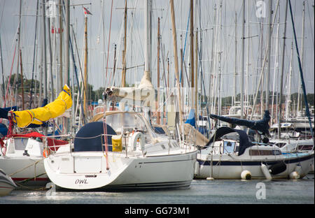 Yachten ankern in der Marina in Lymington, Hampshire, UK. Stockfoto