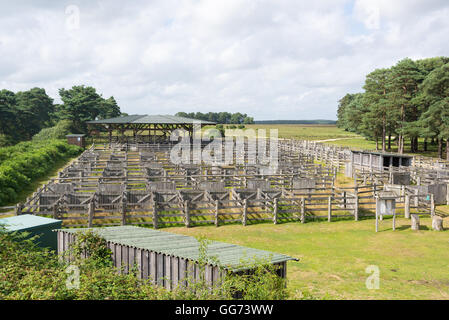 New Forest Livestock Umsatz statt in diesen Gehäusen in Beaulieu Road Station in der Nähe von Brockenhurst, Hampshire. Stockfoto