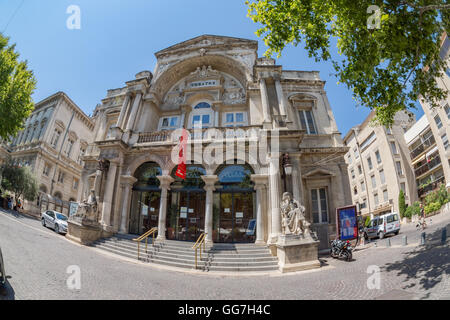 Avignon in Südfrankreich Stockfoto