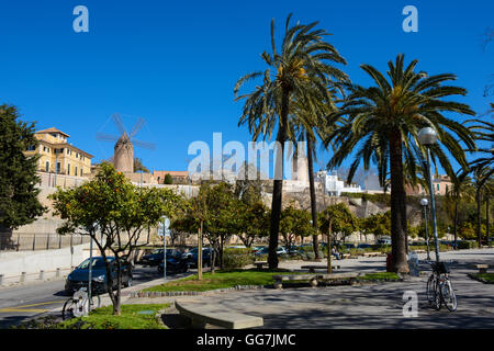 Windmühlen am Paseo Maritimo, Palma, Plaza Santo Domingo De La Calzada, Palma, Mallorca, Spanien – Balearen Stockfoto