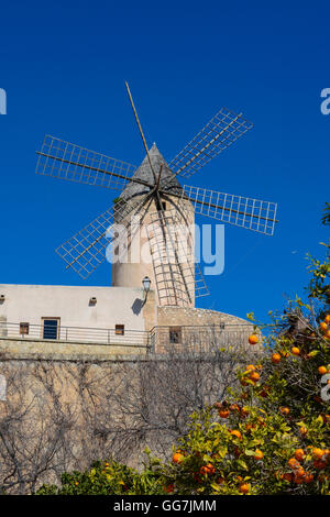 Windmühlen am Paseo Maritimo, Palma, Plaza Santo Domingo De La Calzada, Palma, Mallorca, Spanien – Balearen Stockfoto