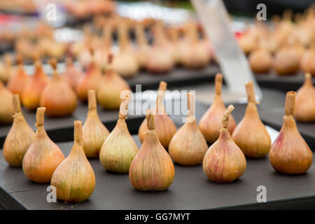 Zwiebeln in einer Gemüse-Show auf der New Forest Show, Hampshire, England Stockfoto