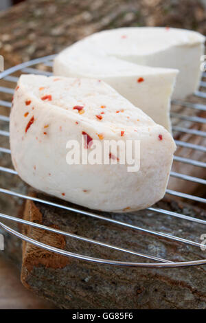 Pecorino-Käse aus Schafsmilch hergestellt und gewürzt mit roten Chili cutter Stockfoto