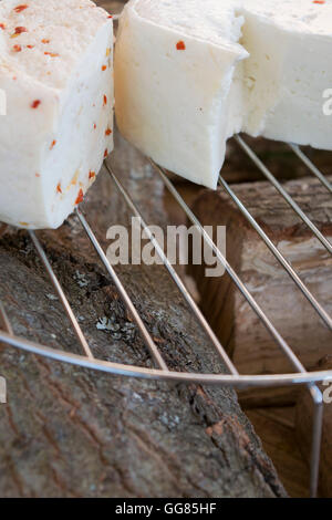 Pecorino-Käse aus Schafsmilch hergestellt und gewürzt mit roten Chili cutter Stockfoto