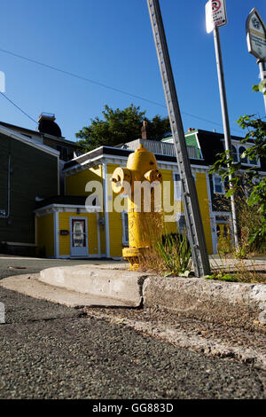 Ein Hydrant an Cathedral Street in St. John's, Neufundland, Kanada. Die Hydrant ist gelb lackiert. Stockfoto