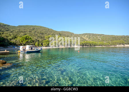 Insel Cres: Strand in der Nähe von Valun Dorf, istrischen Küste an der Adria, Kroatien Europa Stockfoto