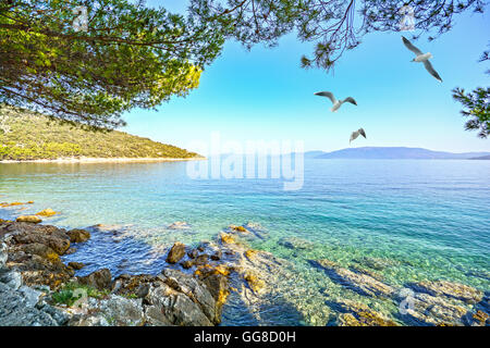 Insel Cres, Istrien Kroatien: Blick von der Strandpromenade zum Adriatischen Meer in der Nähe von Dorf Valun Stockfoto