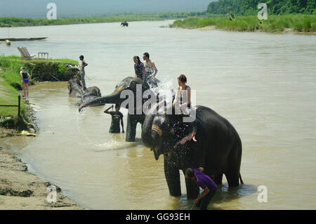 CHITWAN, NP-ca. AUGUST 2012 - Touristen auf Elefanten Baden im Fluss, ca. August 2012 in Chitwan. Stockfoto