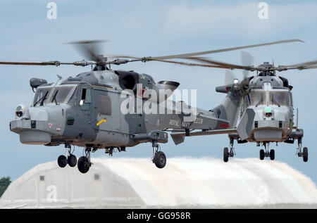 BlackCats Display Team Wildkatze X2 Royal Navy beim Royal International Air Tattoo 2016 Stockfoto