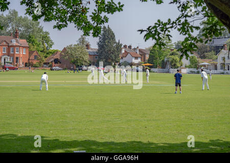 Dorf Cricket gespielt in Hartley Wintney, Hampshire, UK. Stockfoto