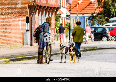 Ystad, Schweden - 1. August 2016: Echte Menschen im Alltag. Schöne junge Frau, Radfahren mit zwei Hunden mit Seil als Leine. D Stockfoto