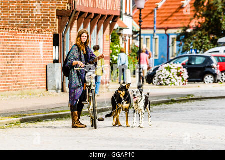 Ystad, Schweden - 1. August 2016: Echte Menschen im Alltag. Schöne junge Frau, Radfahren mit zwei Hunden mit Seil als Leine. D Stockfoto