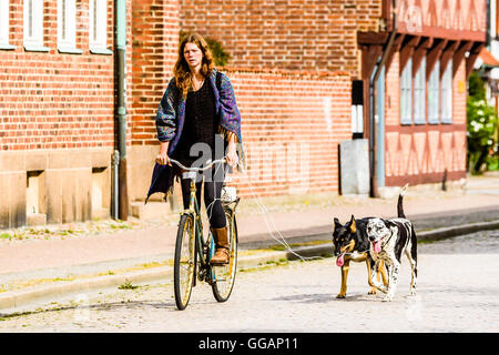 Ystad, Schweden - 1. August 2016: Echte Menschen im Alltag. Schöne junge Frau, Radfahren mit zwei Hunden mit Seil als Leine. D Stockfoto