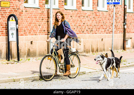 Ystad, Schweden - 1. August 2016: Echte Menschen im Alltag. Schöne junge Frau, Radfahren mit zwei Hunden mit Seil als Leine. D Stockfoto