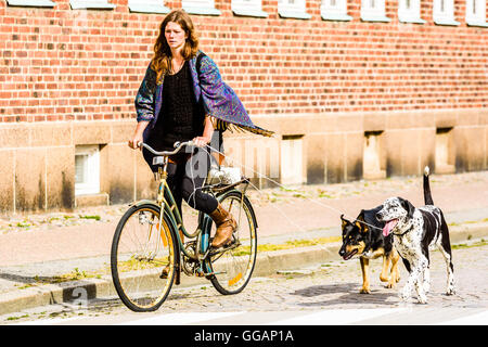 Ystad, Schweden - 1. August 2016: Echte Menschen im Alltag. Schöne junge Frau, Radfahren mit zwei Hunden mit Seil als Leine. D Stockfoto