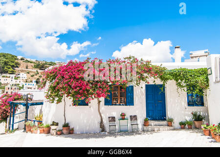 Weißes Haus mit wunderschönen Blume in Lefkes, Paros, Griechenland Stockfoto