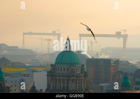 Atemberaubende Aussicht über Belfast mit den Harland- und Wolff-Kranichen, Samson und Goliath im Hintergrund bei Sonnenaufgang, Belfast Stockfoto