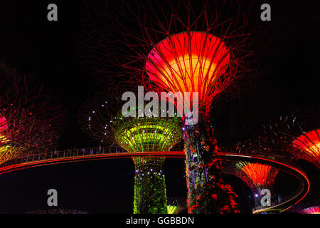 Singapur - Januar 15: Nachtansicht Supertree Grove Gardens an der Bucht am 15. Januar 2016 in Singapur. 101 Hecta überspannt Stockfoto