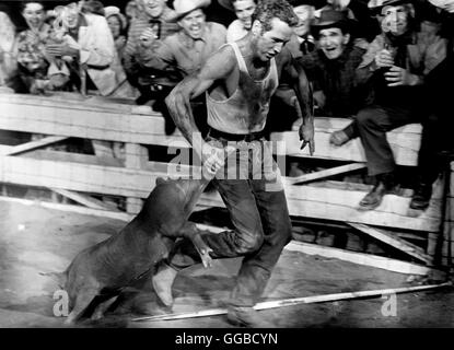 DER WILDESTE UNTER TAUSEND Hud USA 1963 Martin Ritt Hud Bannon (PAUL NEWMAN) Regie: Martin Ritt aka. HUD Stockfoto