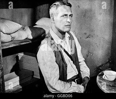 DER WILDESTE UNTER TAUSEND Hud USA 1963 Martin Ritt Hud Bannon (PAUL NEWMAN) Regie: Martin Ritt aka. HUD Stockfoto