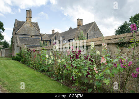 ALTHAIA Rosea. Stockrosen vor einem Cotswold Stone Haus Ringmauer.  Broadway, Cotswolds, Worcestershire, England Stockfoto