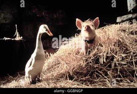 SCHWEINCHEN BABE IN DER GROSSEN STADT / Babe: Pig In The City Australien 1998 / George Miller Babe Fährt in Die Grosse Stadt, um den Bauernhof Vor Dem Drohenden Untergang Zu Retten. Auf der Reise Erfurts Schweinchen Babe Eine Erstaunliche Vielfalt Neuer Tiere. Baby Lernt aus Seinen Gefährlichen Abenteuern, Vom Bissigen Pittbull biz Zum Tierversuchslabor, Wie Ein also Und Unerschütterliches Herz sterben Sorgen der Welt Lindern Kann. Regie: George Miller aka. Babe: Pig In The City Stockfoto