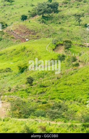 Kurvenreiche Straße durch die Felder gekennzeichnet durch weiße Zäune Stockfoto