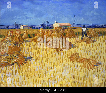 Maisernte in der Provence von Vincent Van Gogh Stockfoto