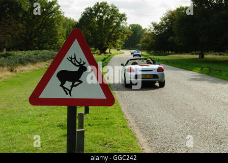 Warnzeichen für das Überschreiten der Rehe im Richmond Park, London, wo die Autos auf den Straßen fahren Stockfoto