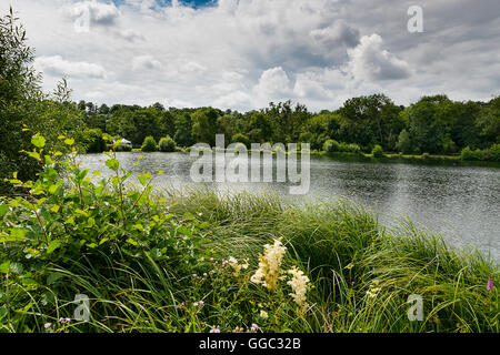 Sommer Fotos von der Restaurierung an einem Kreide-Stream-Standort nach zehn Jahren der Gewinnung. Panshanger Park, Welwyn, UK Stockfoto