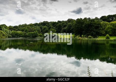 Sommer Fotos von der Restaurierung an einem Kreide-Stream-Standort nach zehn Jahren der Gewinnung. Panshanger Park, Welwyn, UK Stockfoto