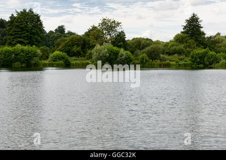 Sommer Fotos von der Restaurierung an einem Kreide-Stream-Standort nach zehn Jahren der Gewinnung. Panshanger Park, Welwyn, UK Stockfoto