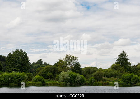 Sommer Fotos von der Restaurierung an einem Kreide-Stream-Standort nach zehn Jahren der Gewinnung. Panshanger Park, Welwyn, UK Stockfoto