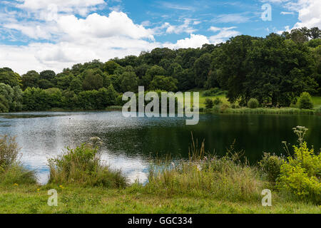 Sommer Fotos von der Restaurierung an einem Kreide-Stream-Standort nach zehn Jahren der Gewinnung. Panshanger Park, Welwyn, UK Stockfoto