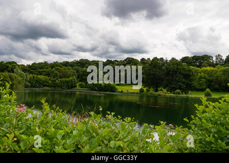 Sommer Fotos von der Restaurierung an einem Kreide-Stream-Standort nach zehn Jahren der Gewinnung. Panshanger Park, Welwyn, UK Stockfoto