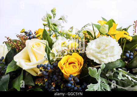 Australische Blüten, Nahaufnahme, Stockfoto