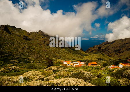 Geographie/Reisen, Spanien, Teno Gebirge, Teneriffa, Additional-Rights - Clearance-Info - Not-Available Stockfoto