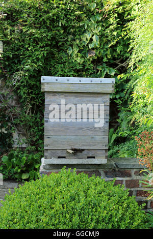 Bienenstock sitzen auf Garten Wand im Garten im South Otterington, Northallerton, North Yorkshire, Vereinigtes Königreich Stockfoto