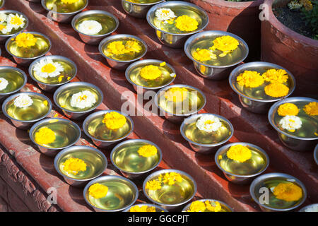 Schalen mit Safran Wasser und Blumen im Boudhadhnath Tempel in Kathmandu, Nepal Stockfoto